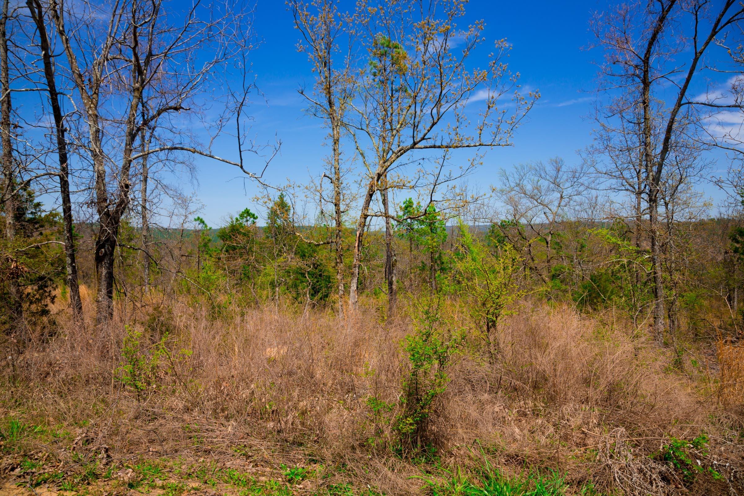 Stone Creek Phase II Tract 234 photo 4