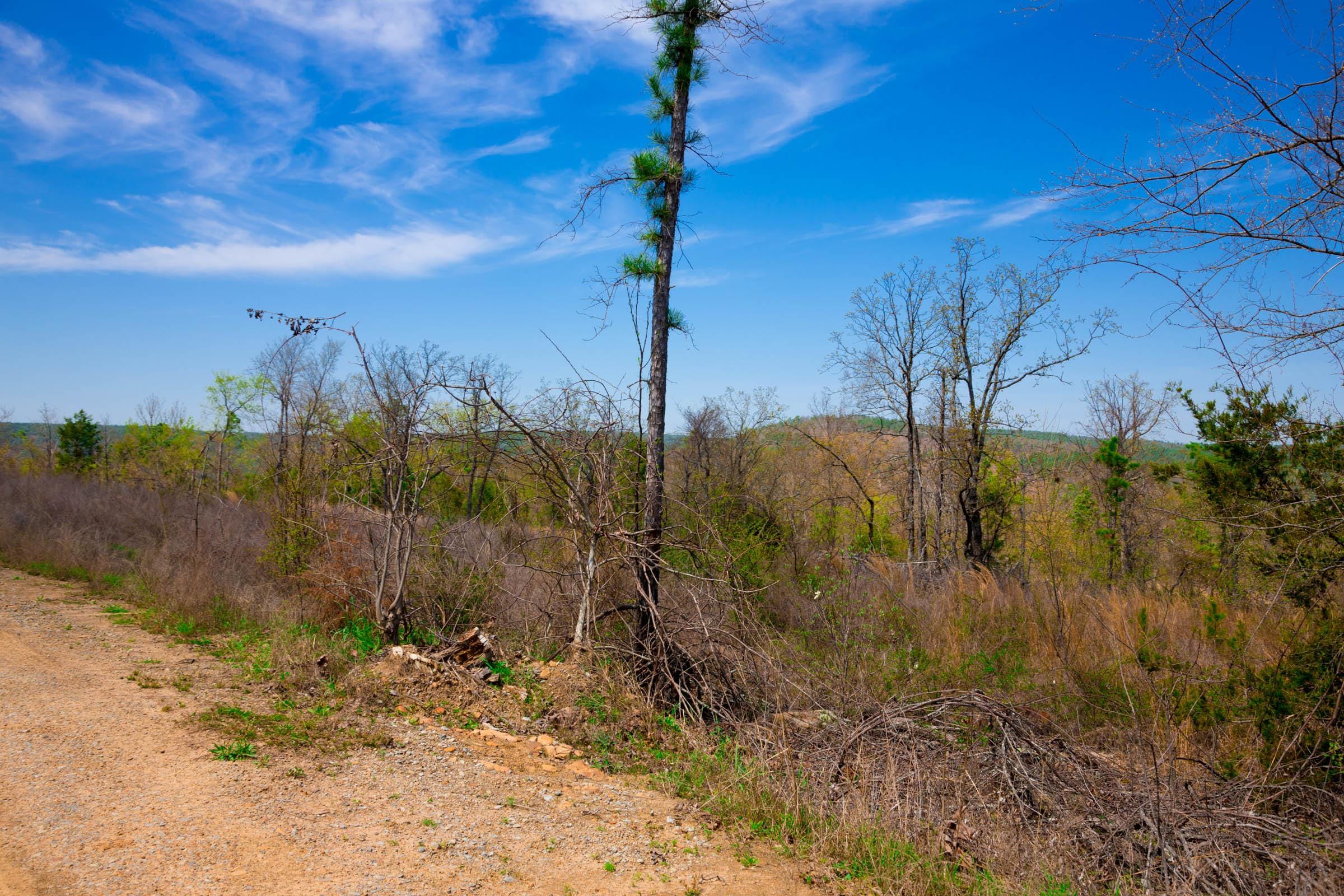 Stone Creek Phase II Tract 234 photo 5