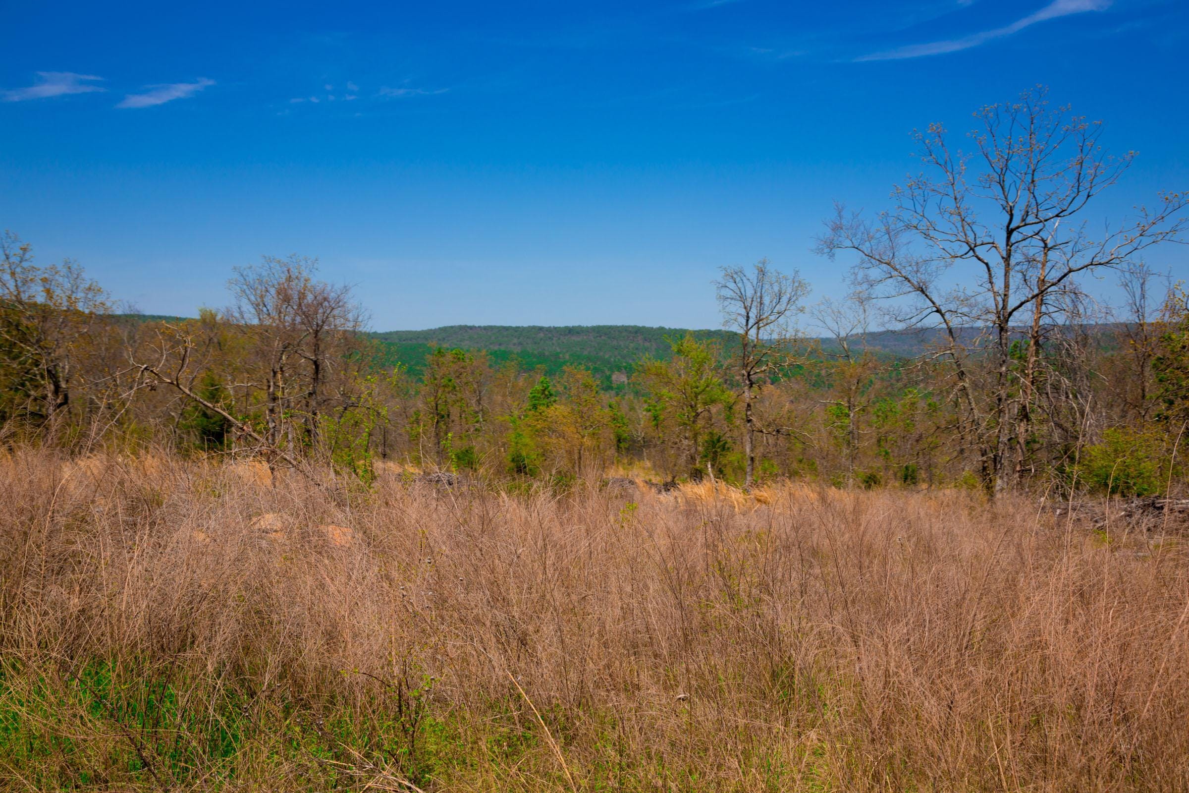 Stone Creek Phase II Tract 234 photo 7