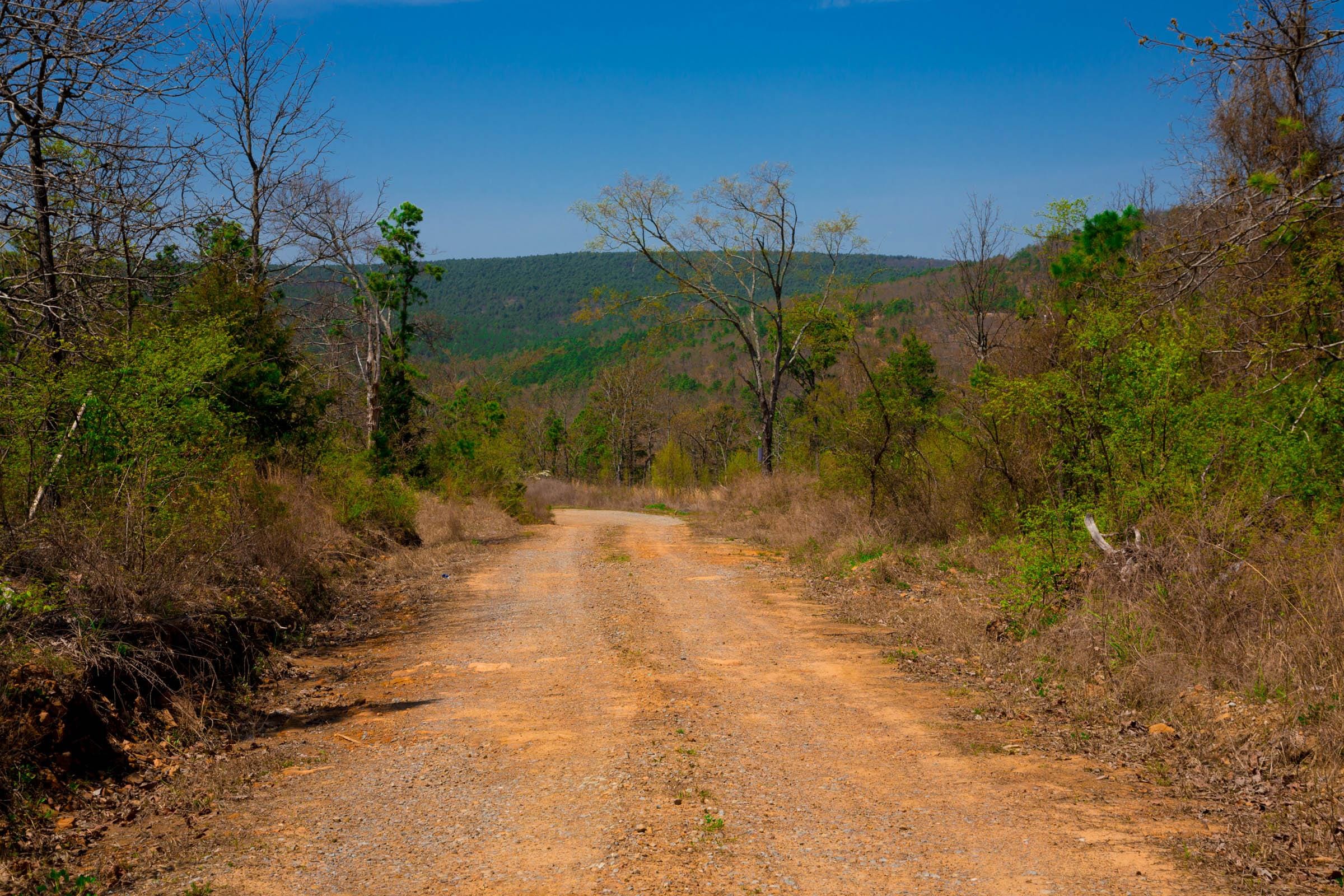 Stone Creek Phase II Tract 234 photo 10