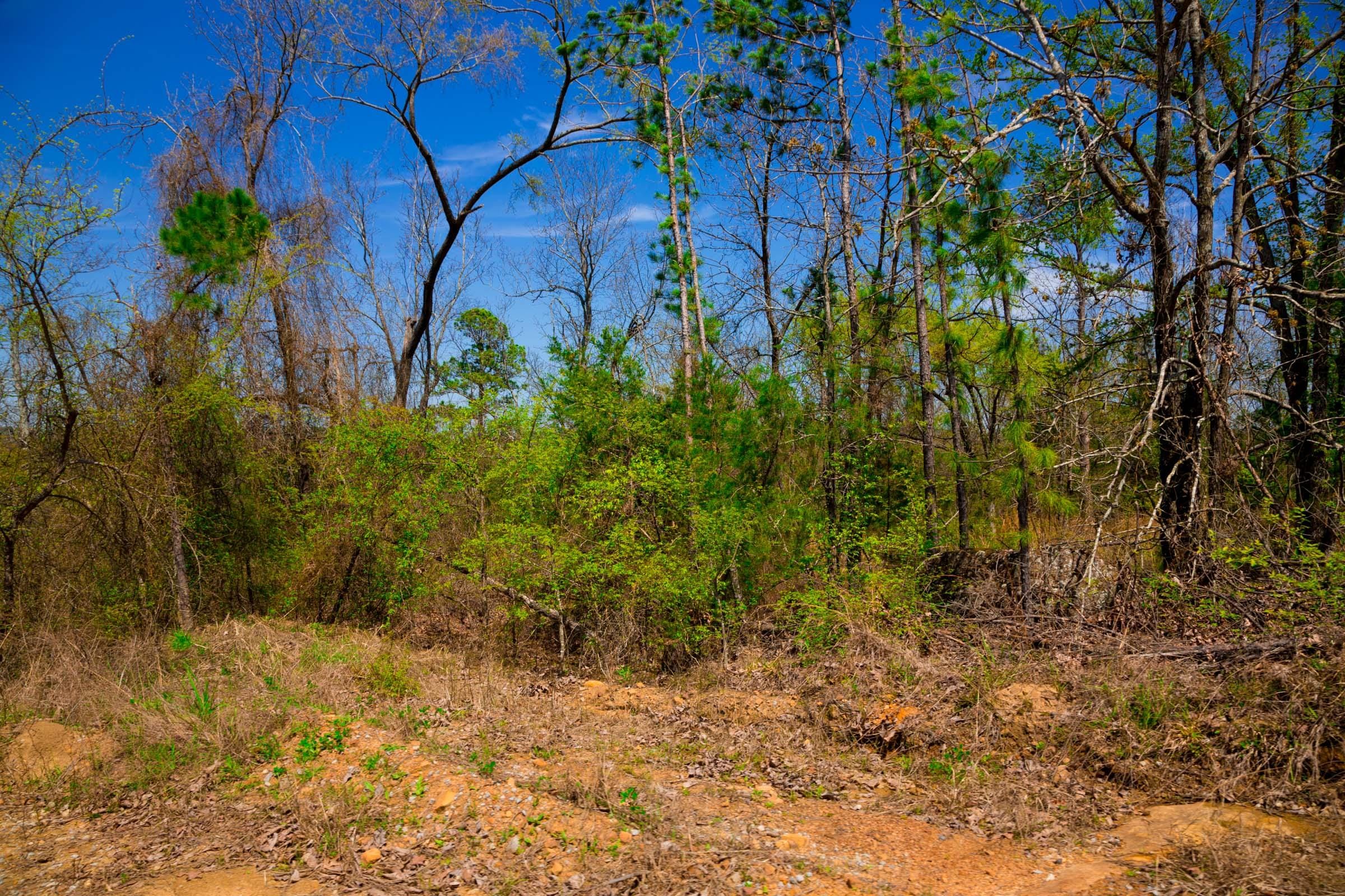 Stone Creek Phase II Tract 234 photo 8