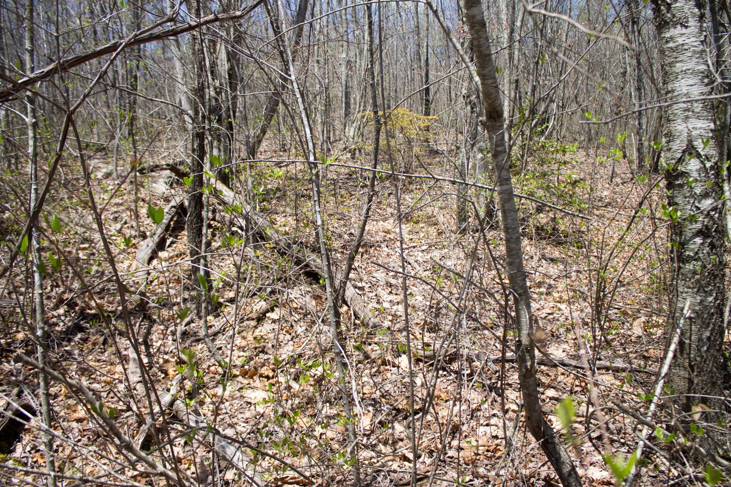 Hidden Hills Tract 5 photo 8