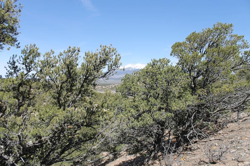 Sangre De Cristo Ranches Tract 4691 photo 6