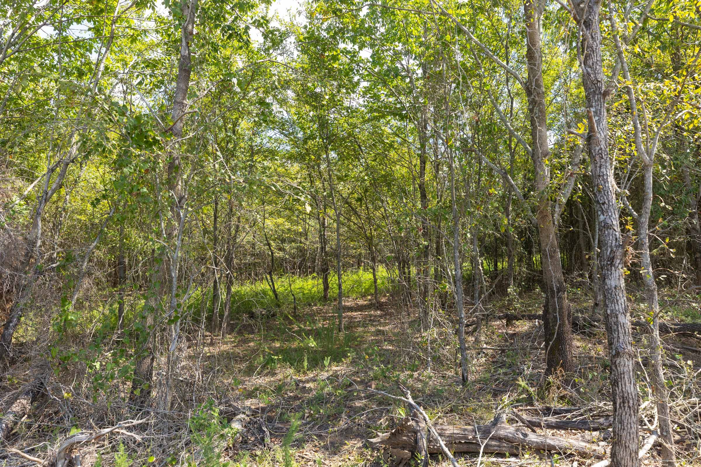 Reserves At Cattail Cove Phase II Tract 94 photo 11