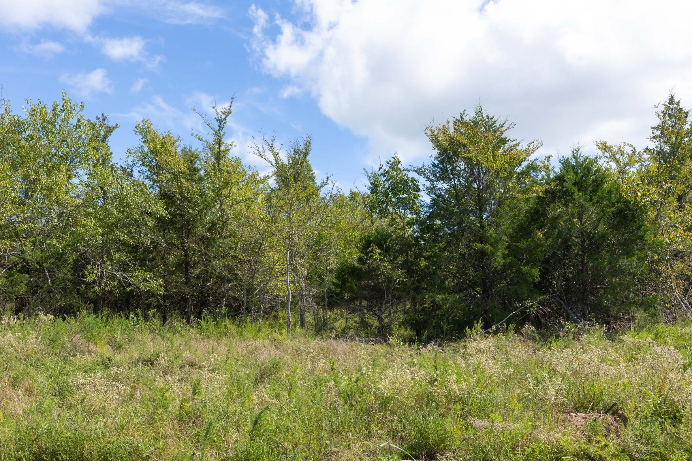 Reserves At Cattail Cove Phase II Tract 94 photo 6