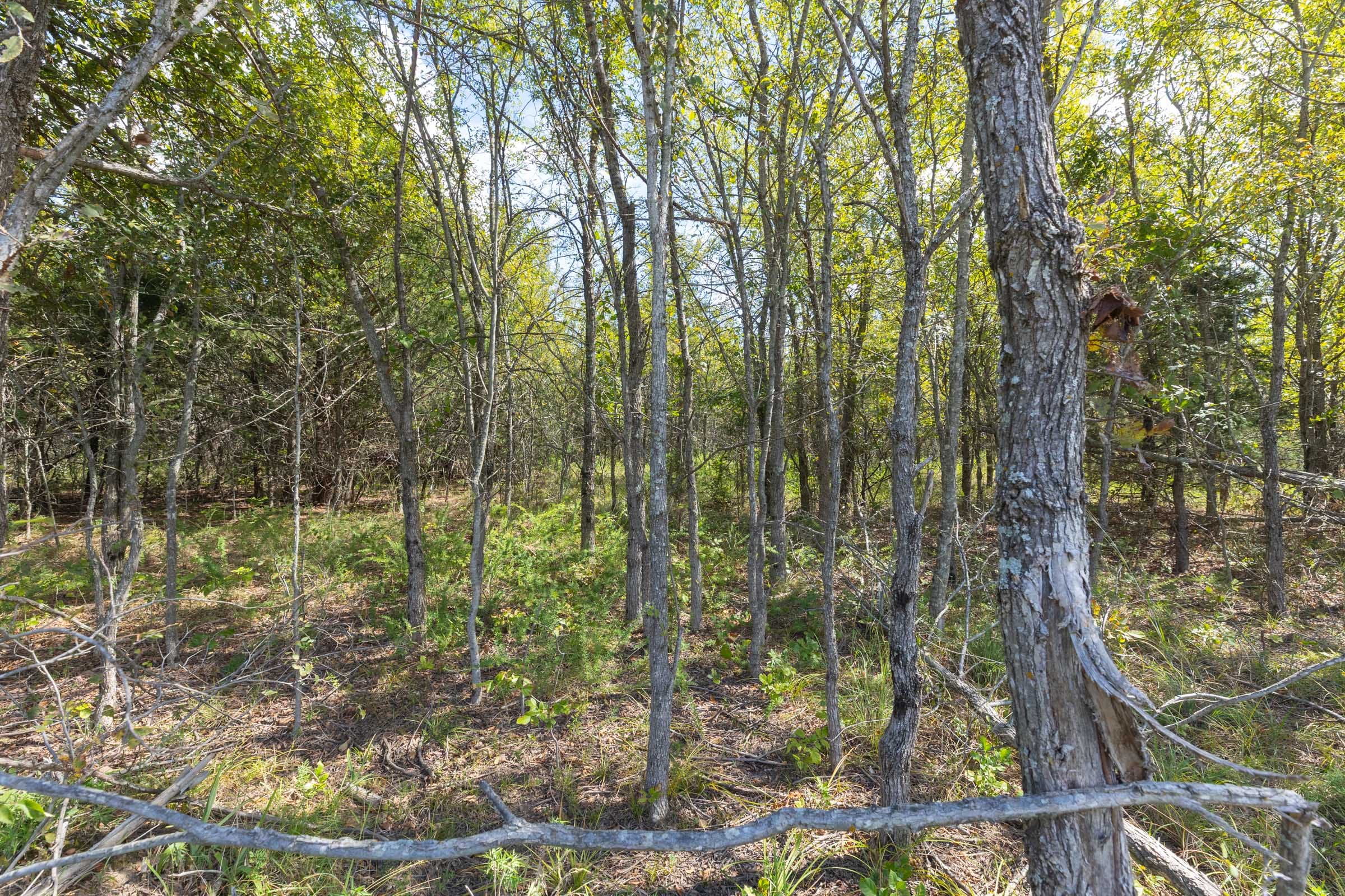 Reserves At Cattail Cove Phase II Tract 94 photo 12