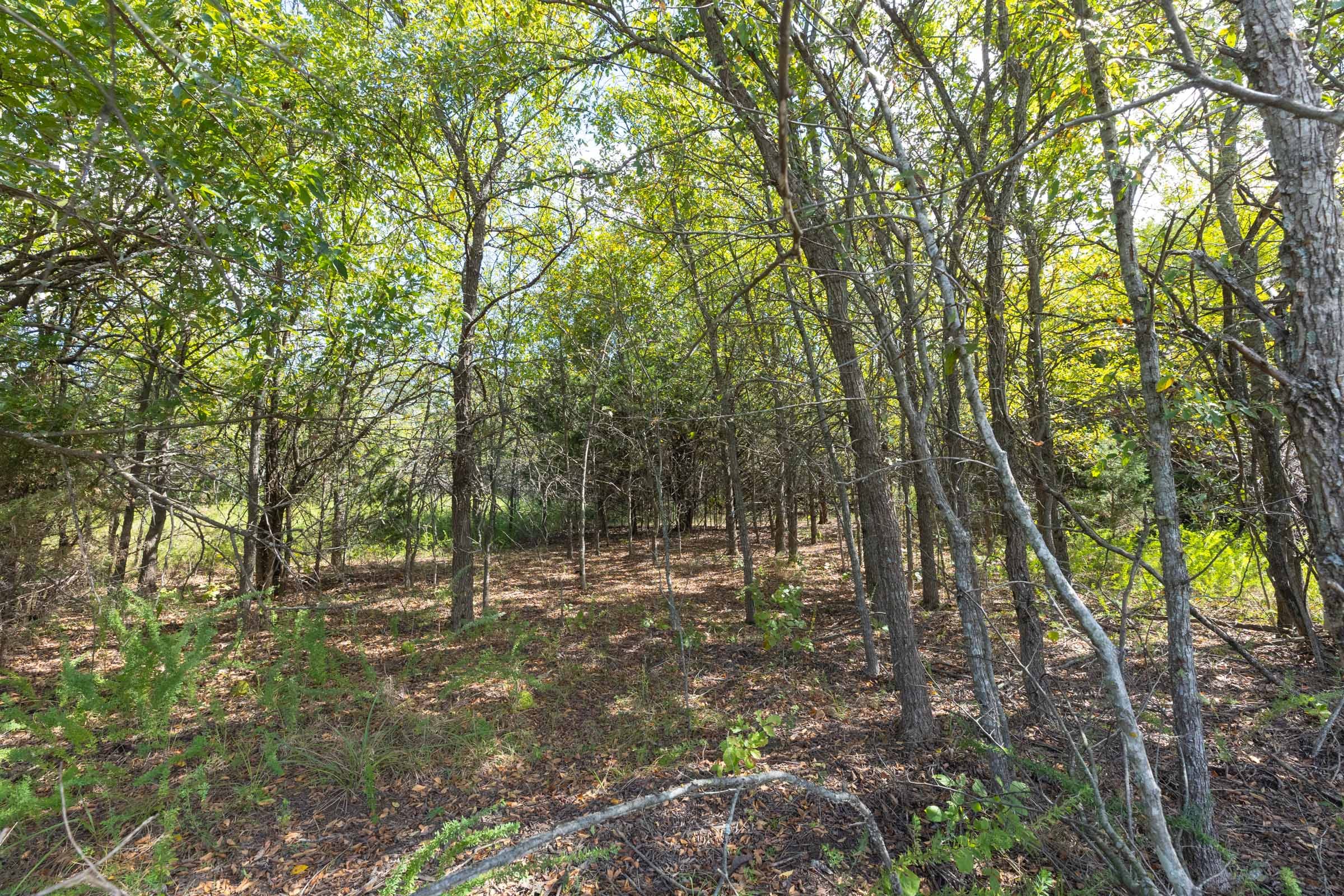 Reserves At Cattail Cove Phase II Tract 94 photo 10