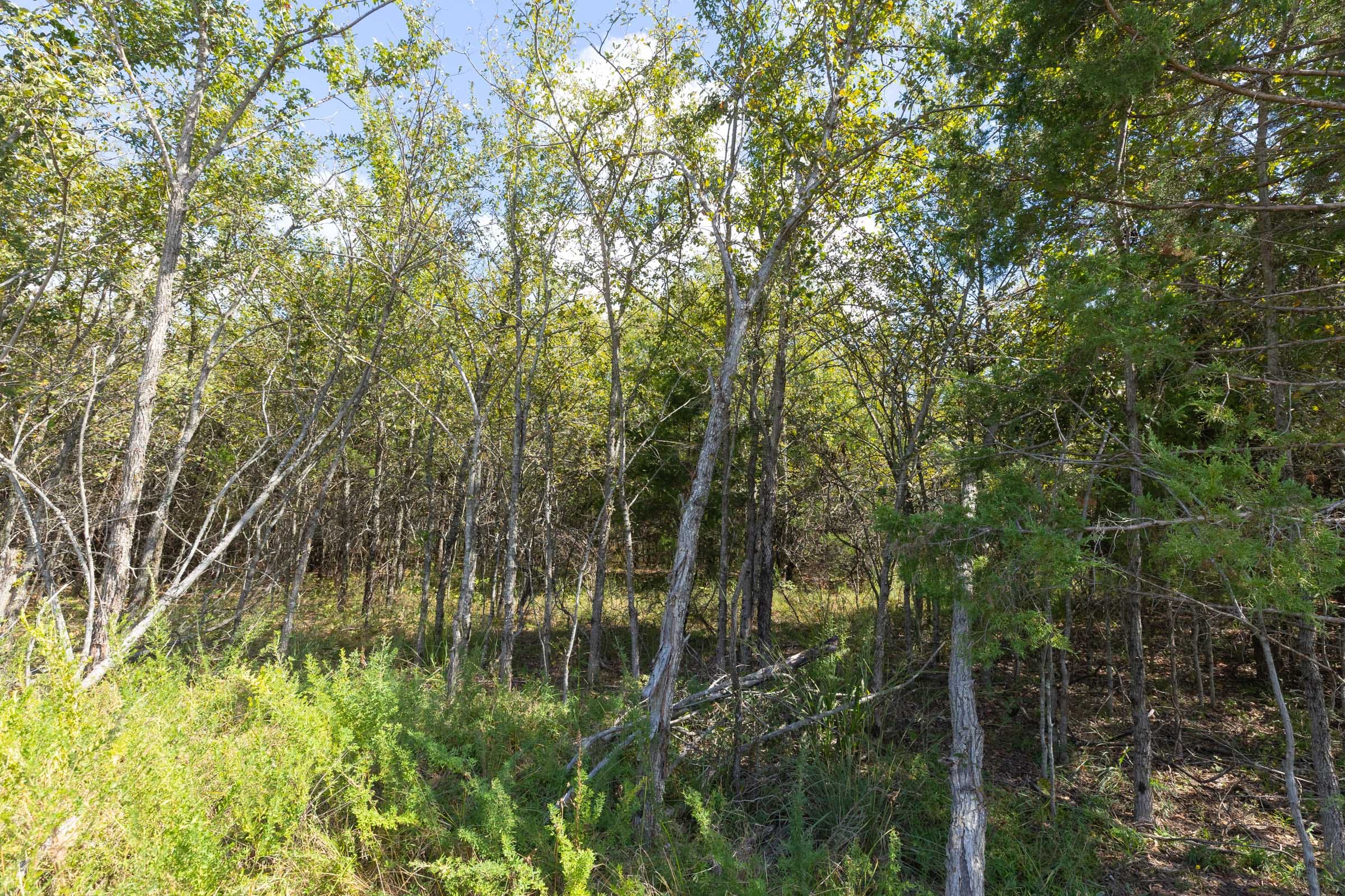 Reserves At Cattail Cove Phase II Tract 94 photo 9
