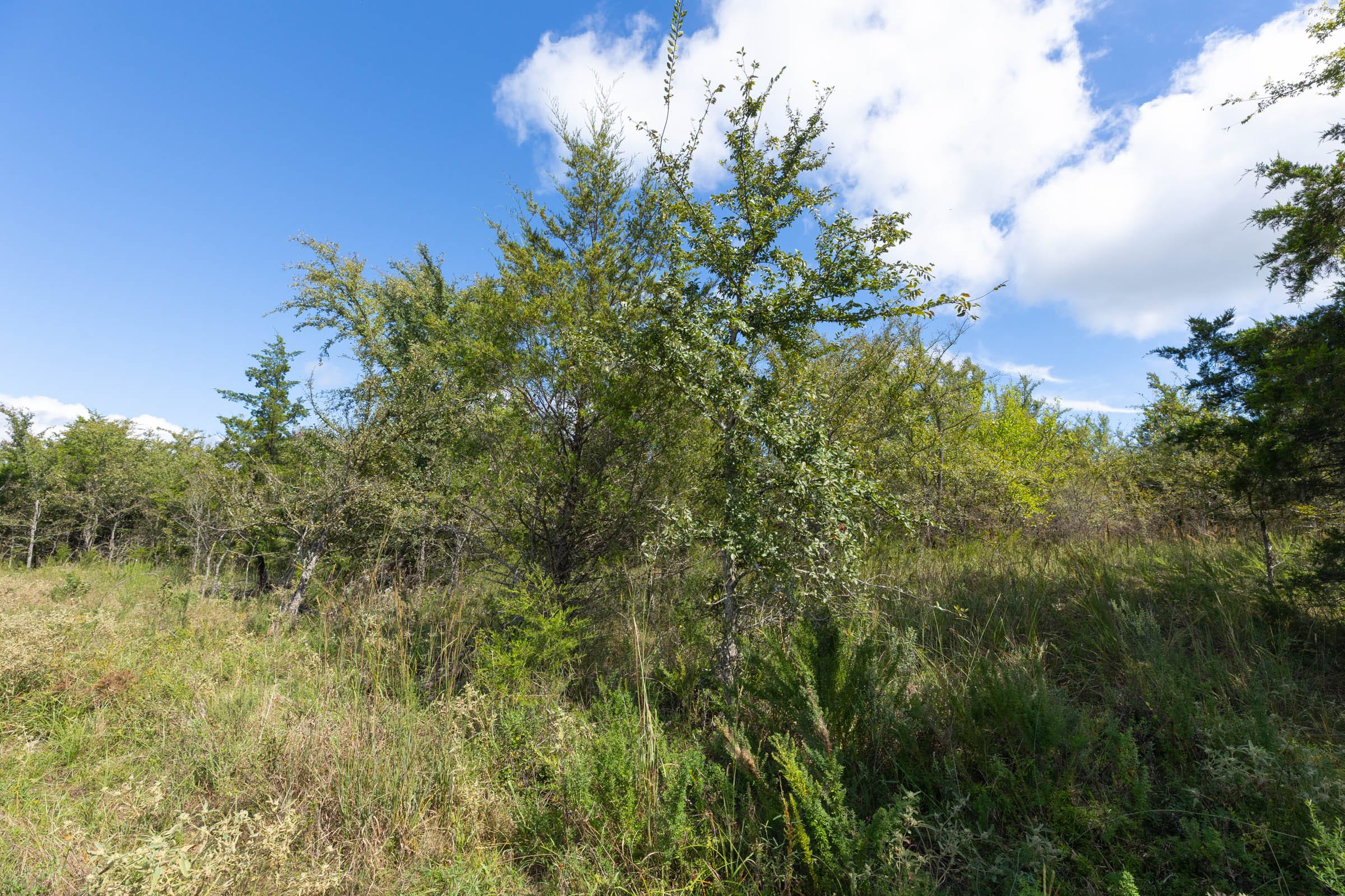 Reserves At Cattail Cove Phase II Tract 94 photo 8