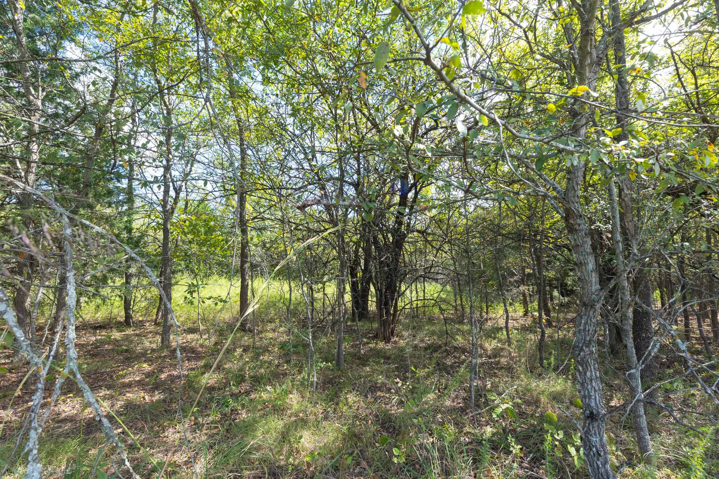 Reserves At Cattail Cove Phase II Tract 94 photo 7