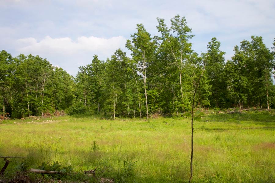 Thunder Mountain Ranch Tract 33 photo 1