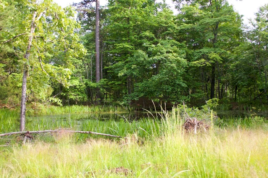 Thunder Mountain Ranch Tract 33 photo 6