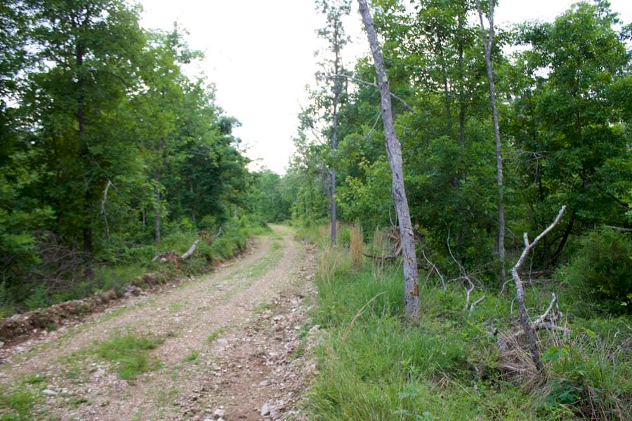 Thunder Mountain Ranch Tract 33 photo 2