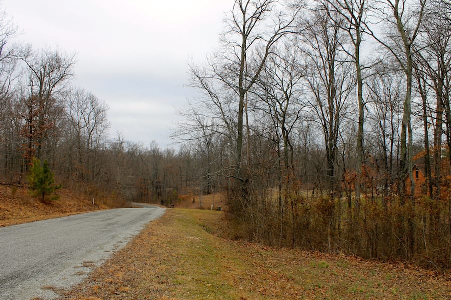 The Tennessean Tract 50 photo 1