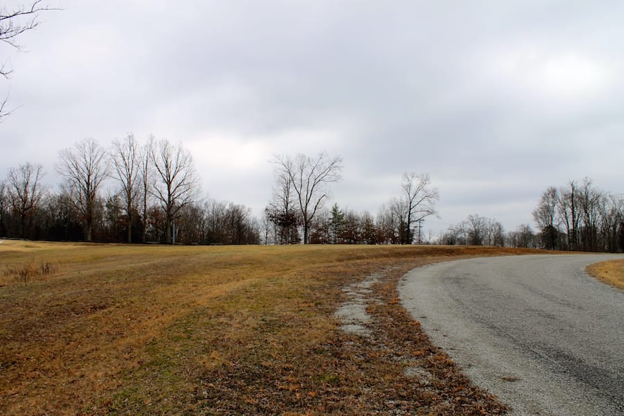 The Tennessean Tract 50 photo 2