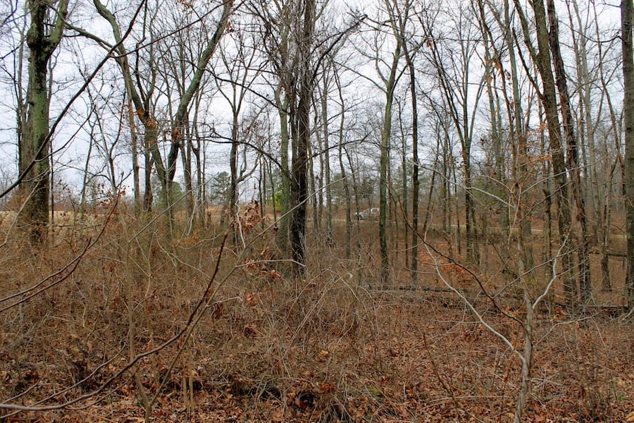 The Tennessean Tract 50 photo 6