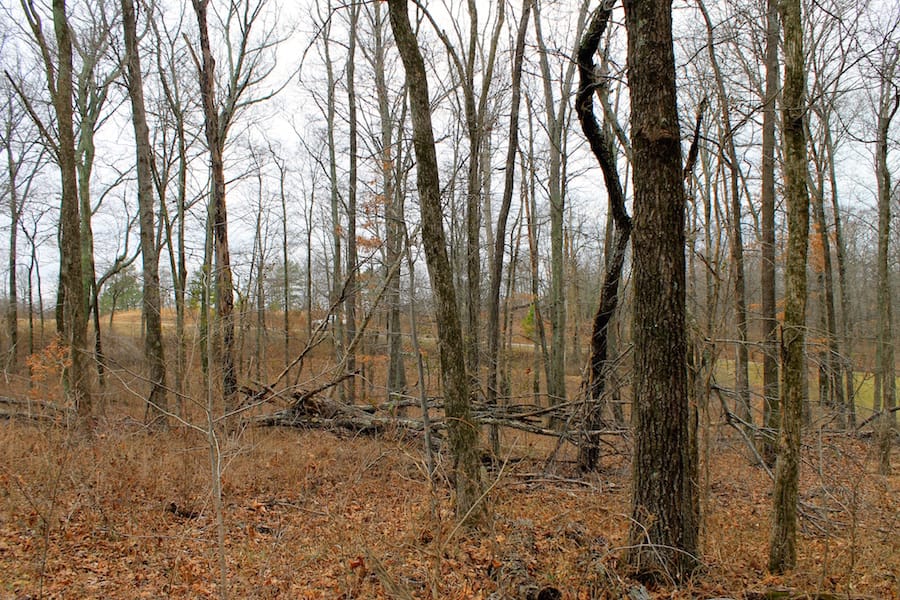 The Tennessean Tract 50 photo 8