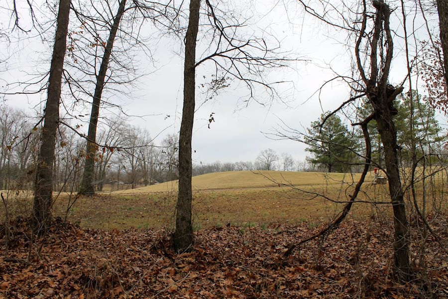 The Tennessean Tract 50 photo 10