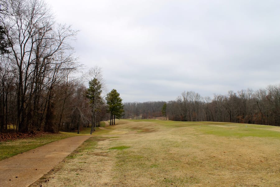 The Tennessean Tract 50 photo 11