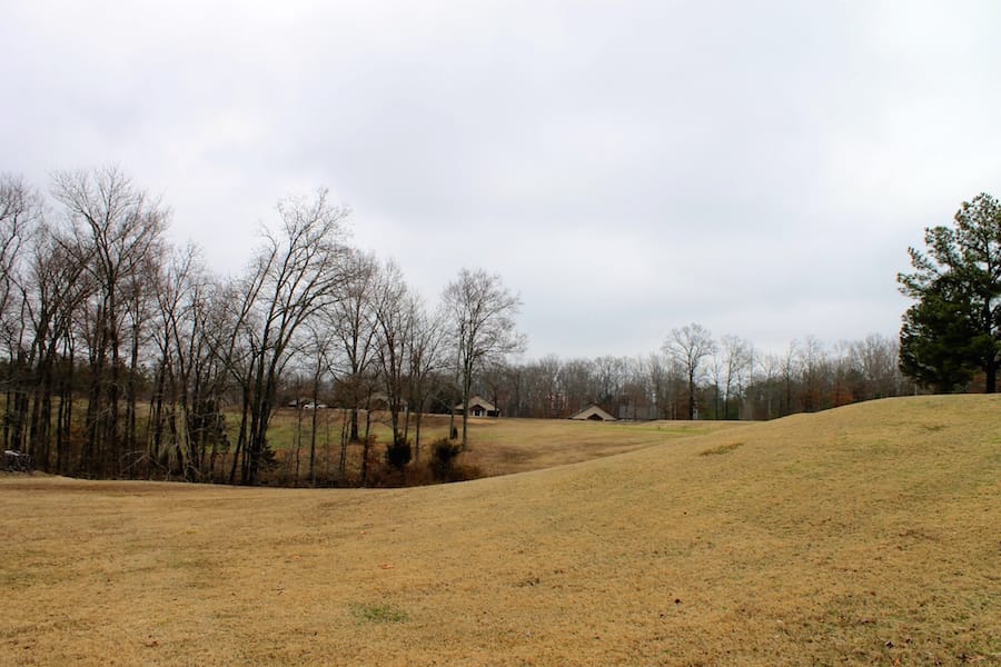 The Tennessean Tract 50 photo 12
