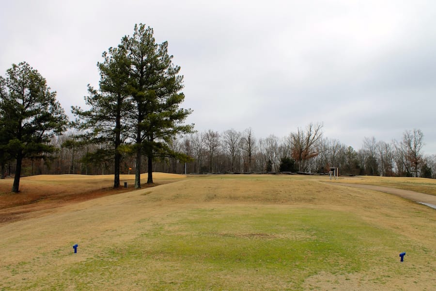 The Tennessean Tract 50 photo 13