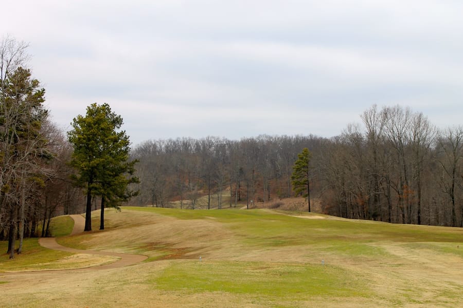 The Tennessean Tract 50 photo 14
