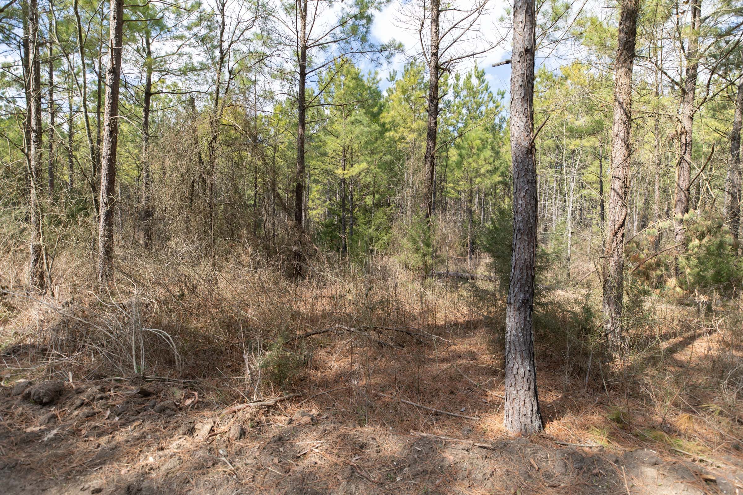 Wishing Star Ranch Tract 50 photo 2