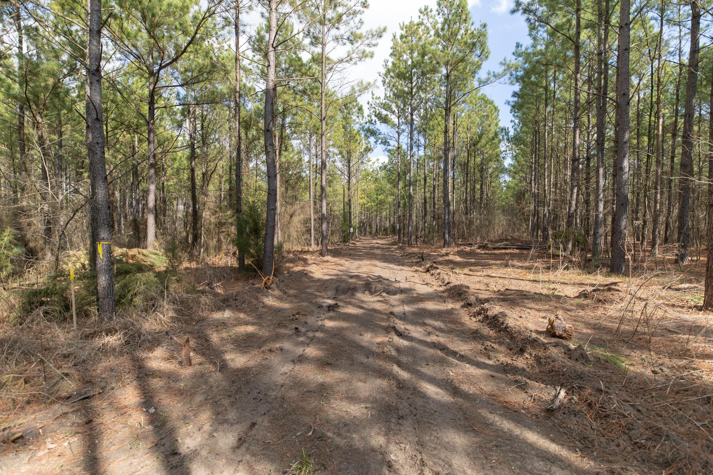 Wishing Star Ranch Tract 50 photo 1