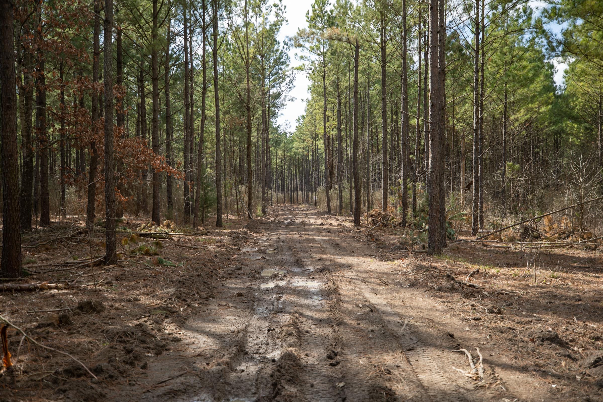 Wishing Star Ranch Tract 50 photo 3