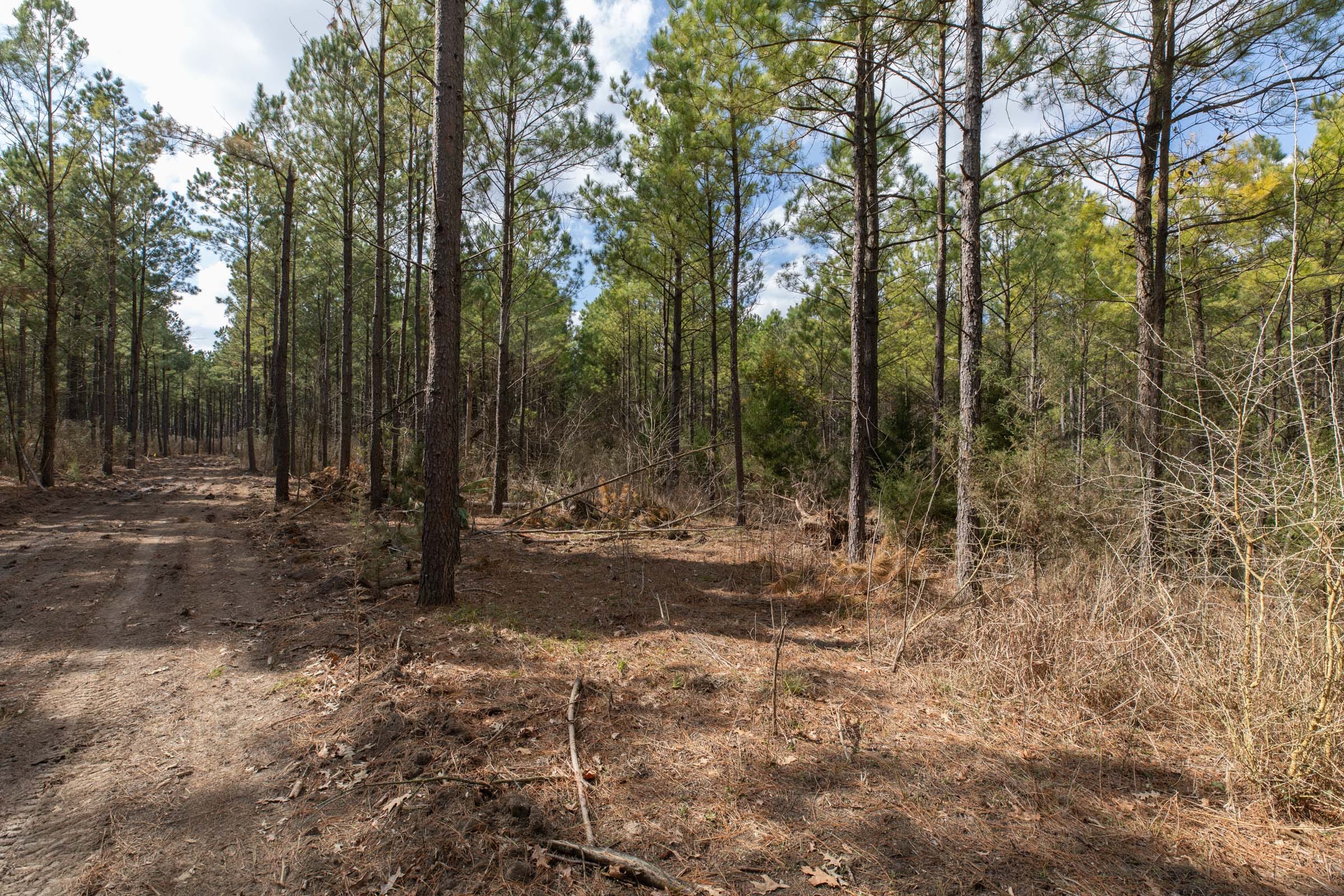 Wishing Star Ranch Tract 50 photo 4