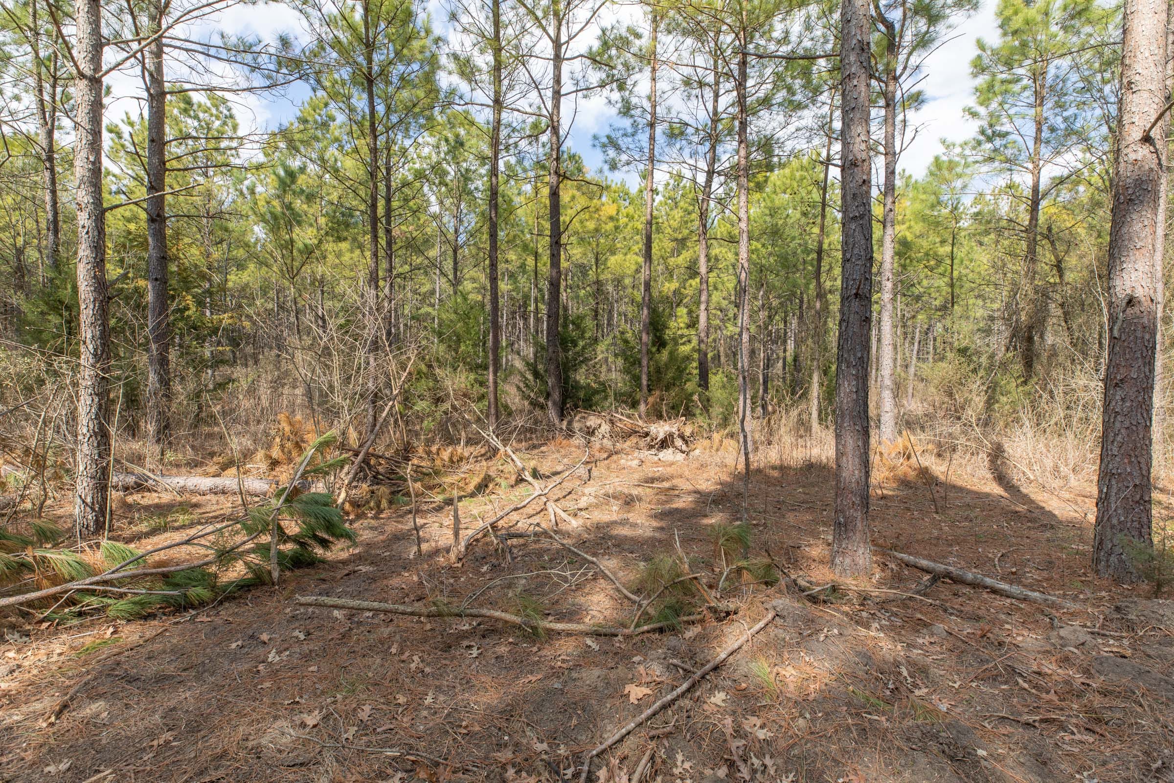 Wishing Star Ranch Tract 50 photo 5