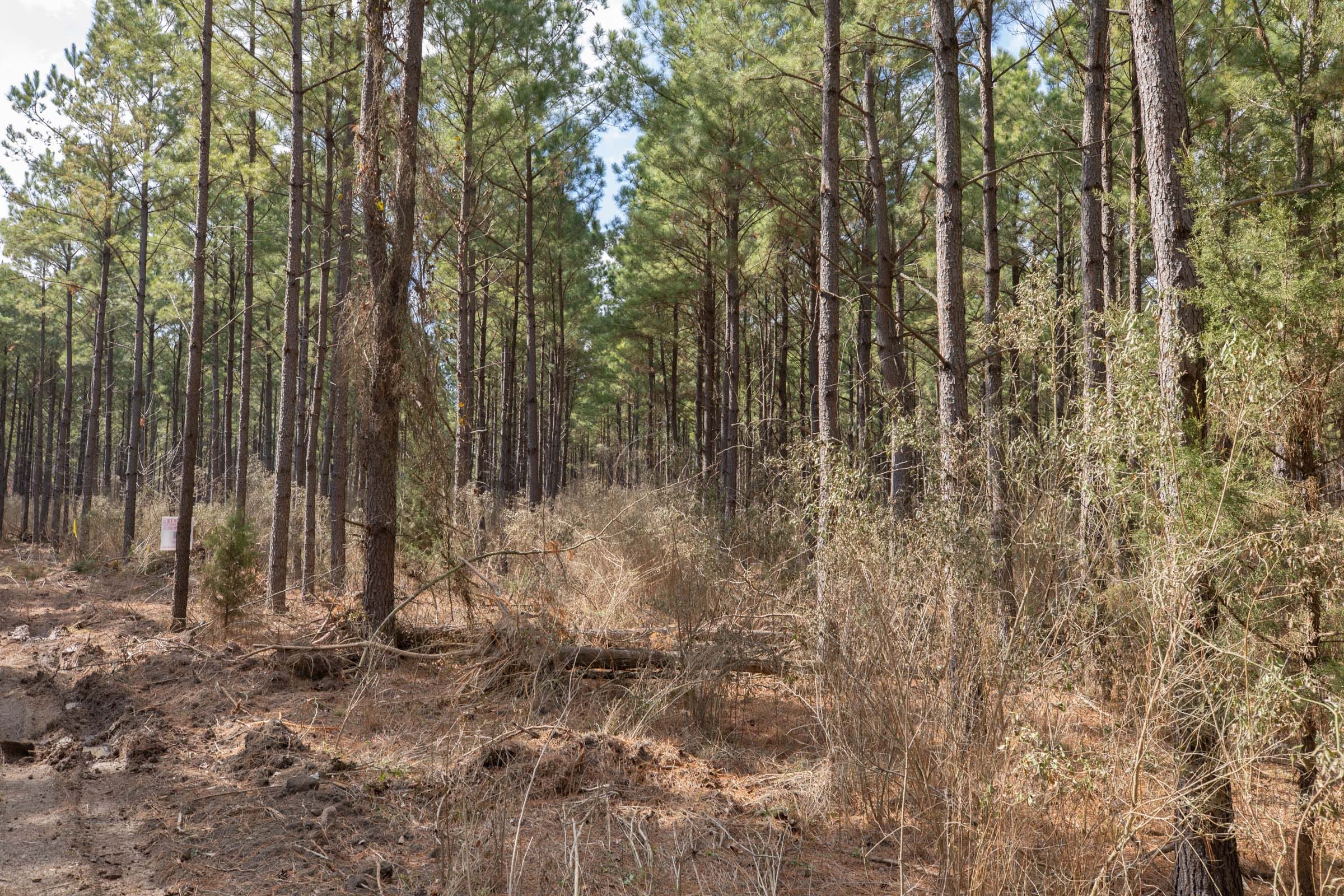 Wishing Star Ranch Tract 50 photo 7