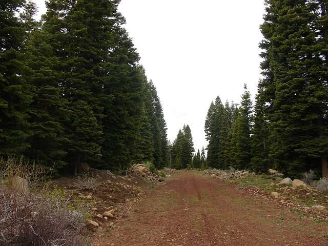 California Pines Tract 24 photo 1