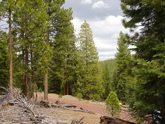 California Pines Tract 24 photo 8