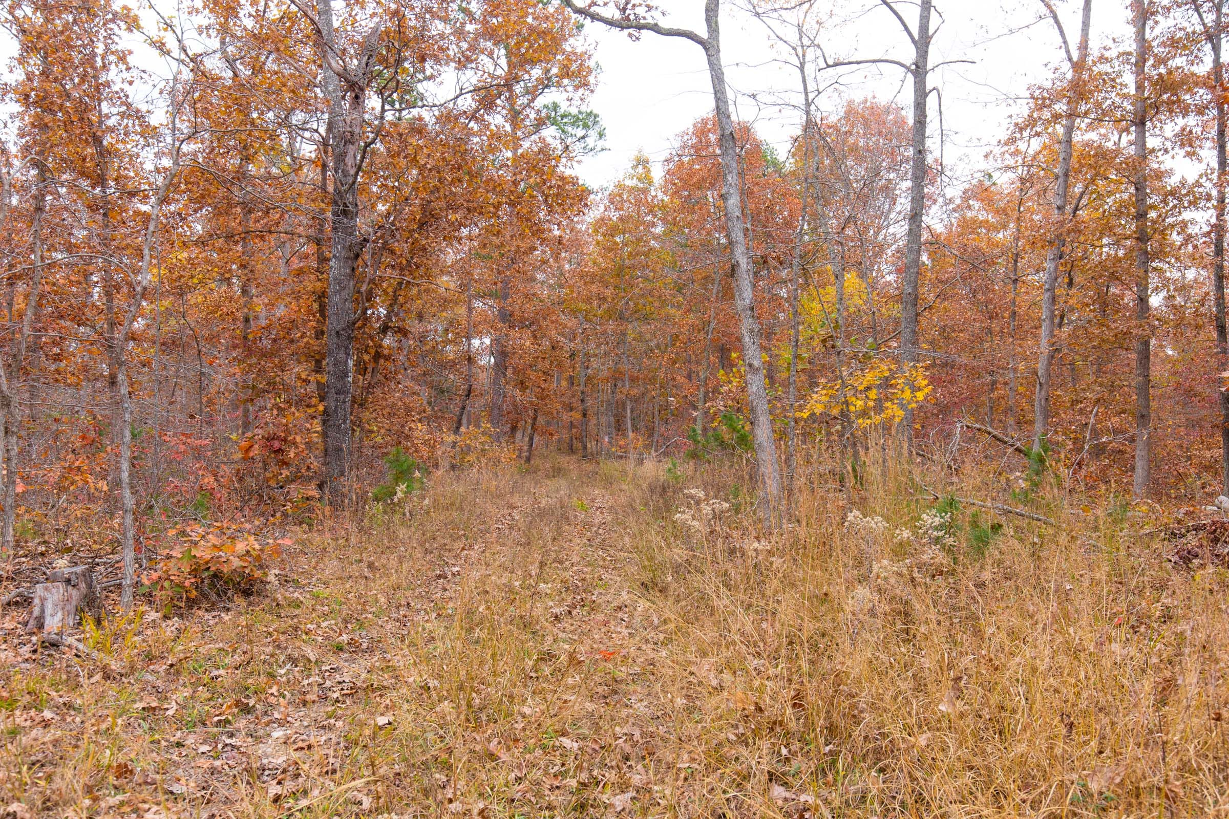 Hawkcrest Tract 18 photo 1