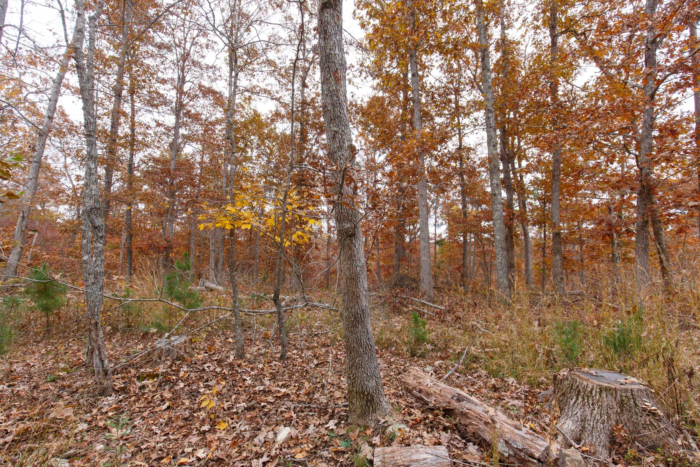 Hawkcrest Tract 18 photo 2