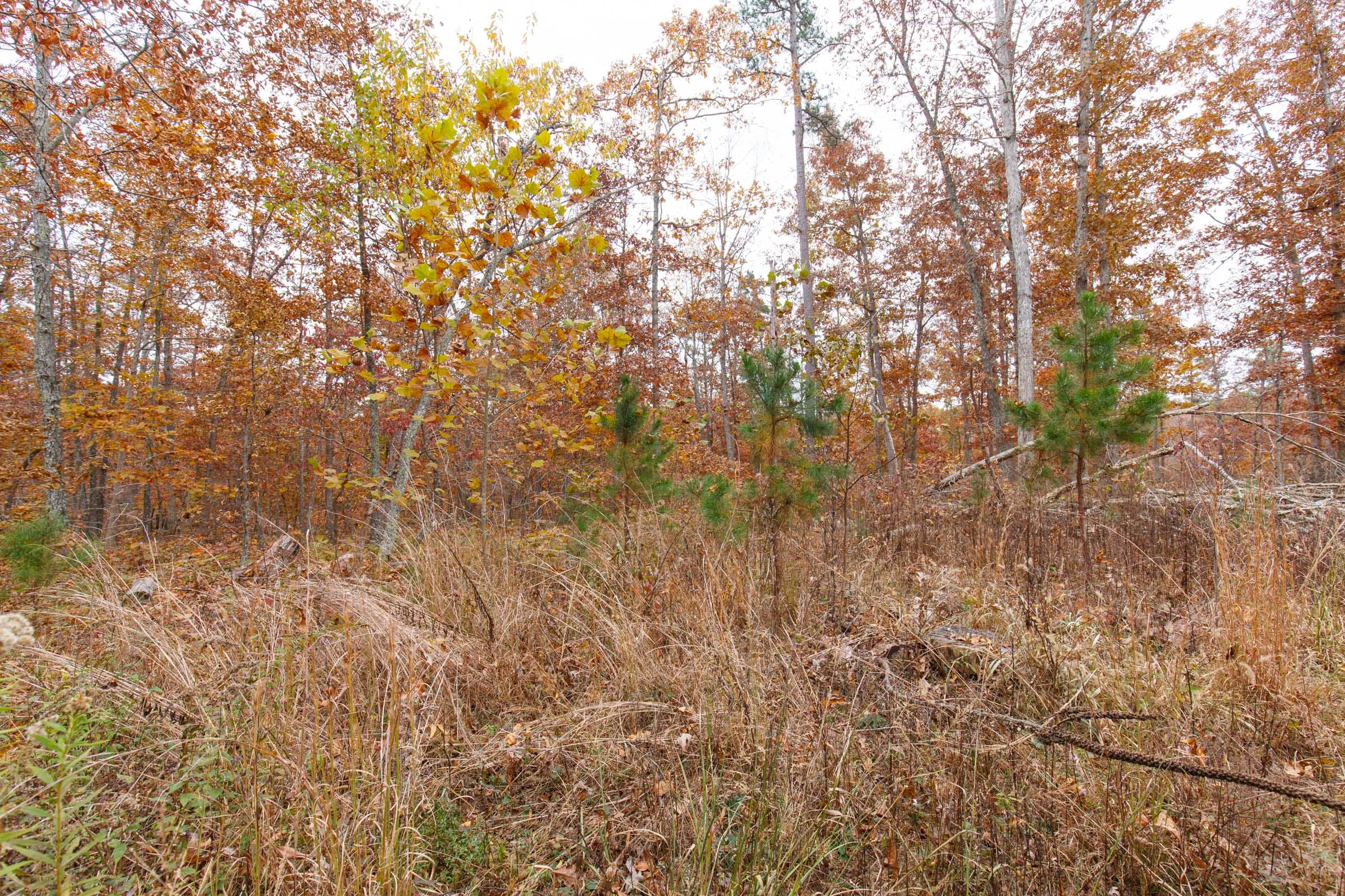Hawkcrest Tract 18 photo 3