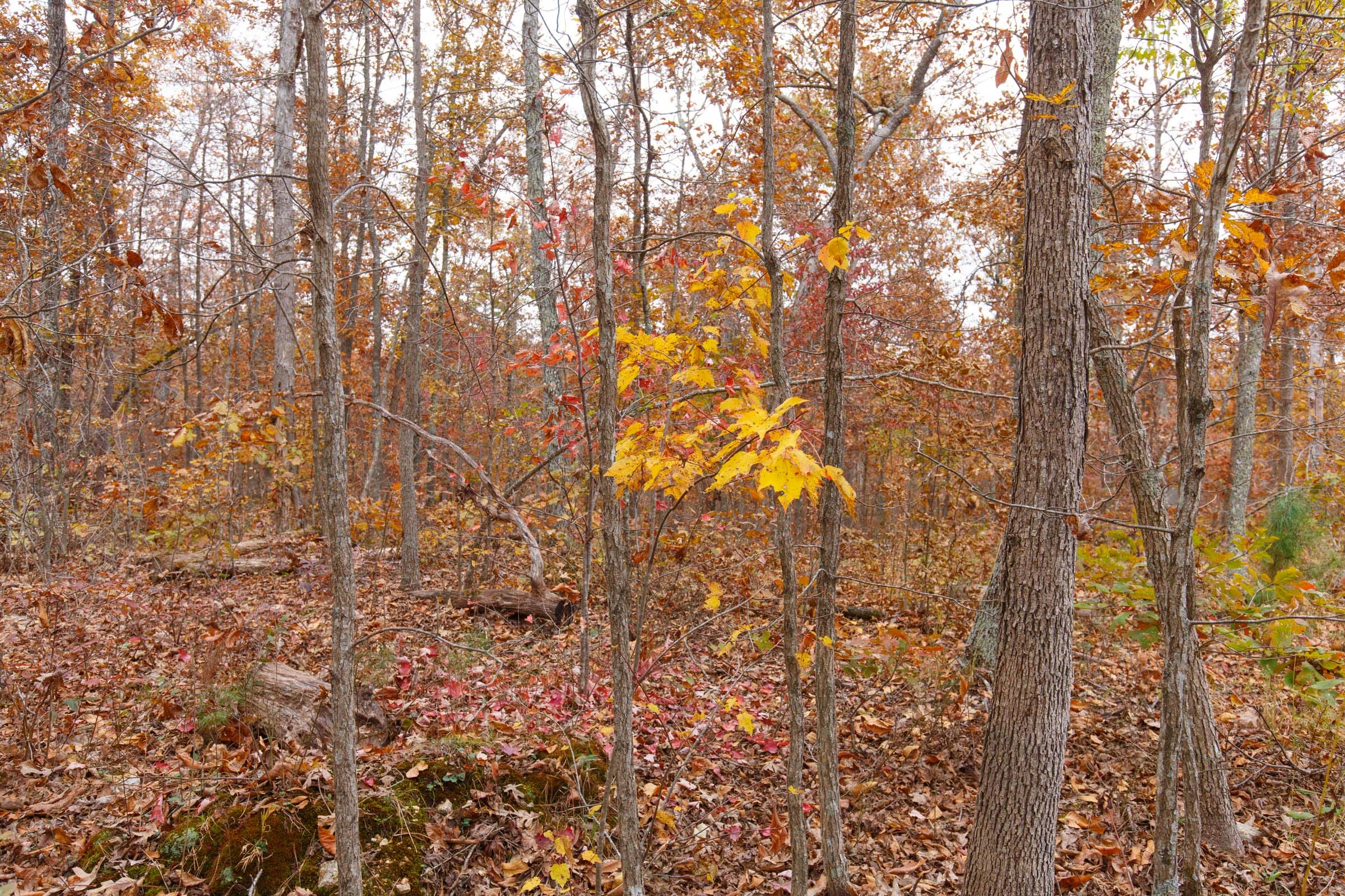 Hawkcrest Tract 18 photo 4