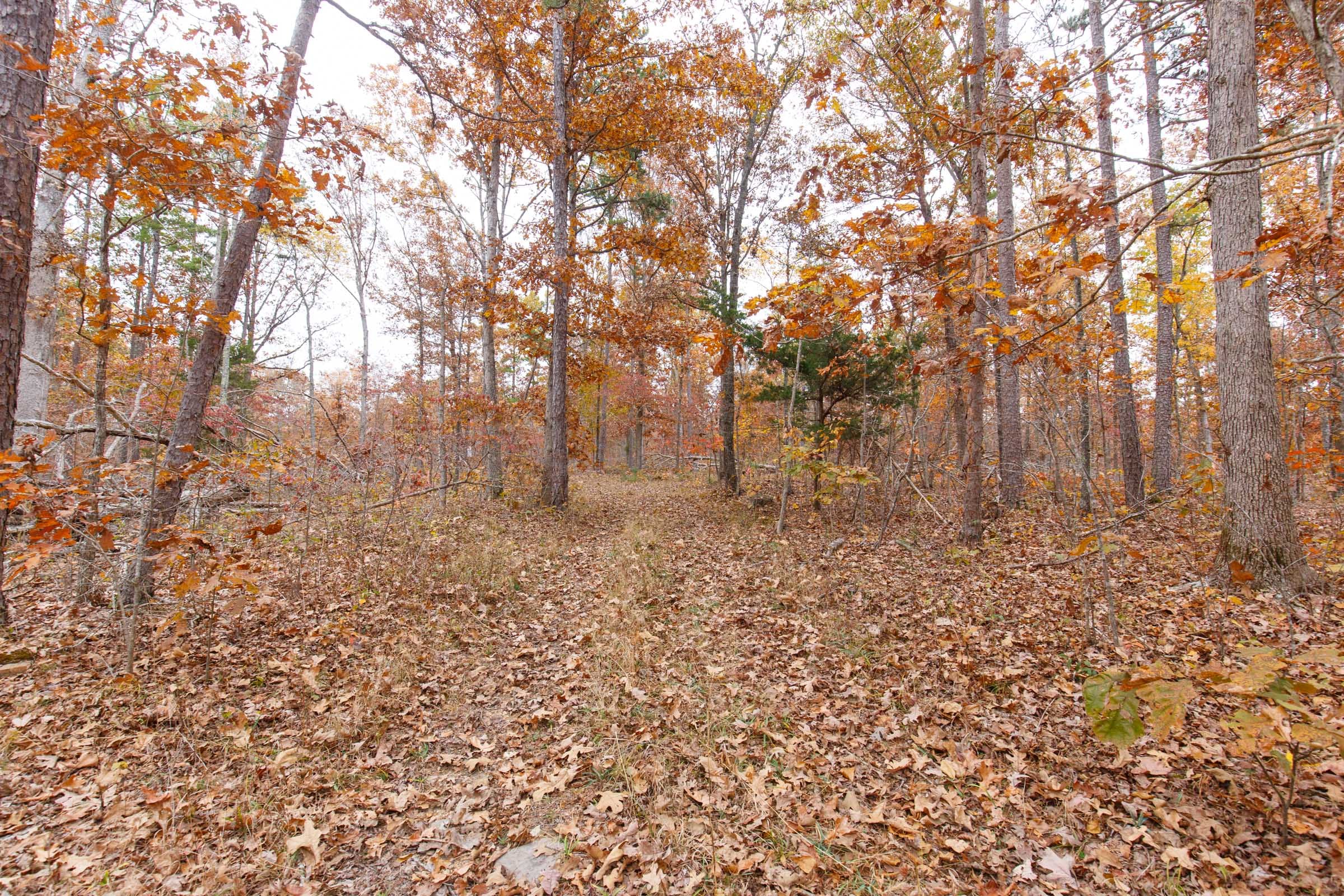 Hawkcrest Tract 18 photo 5