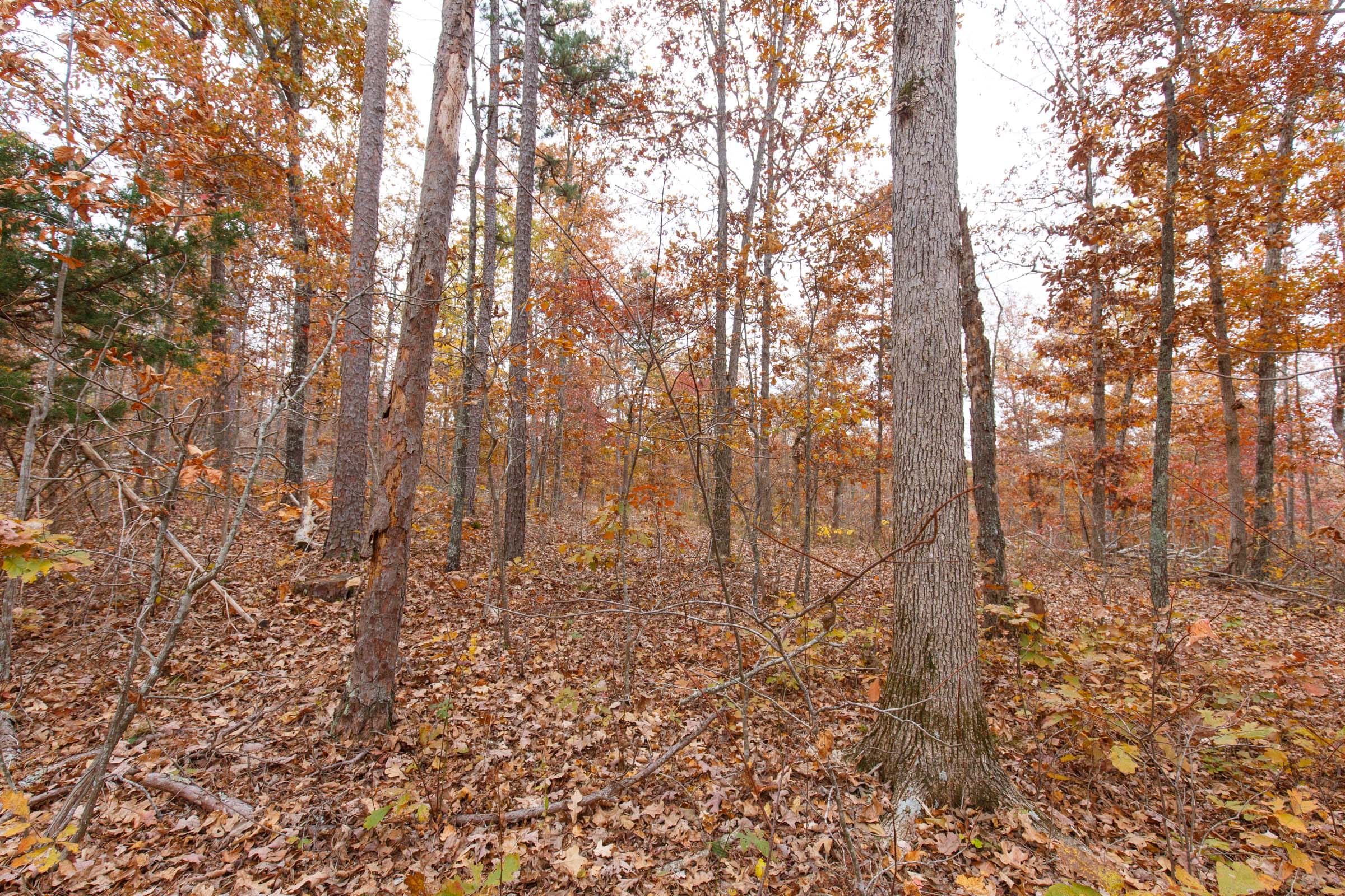 Hawkcrest Tract 18 photo 8