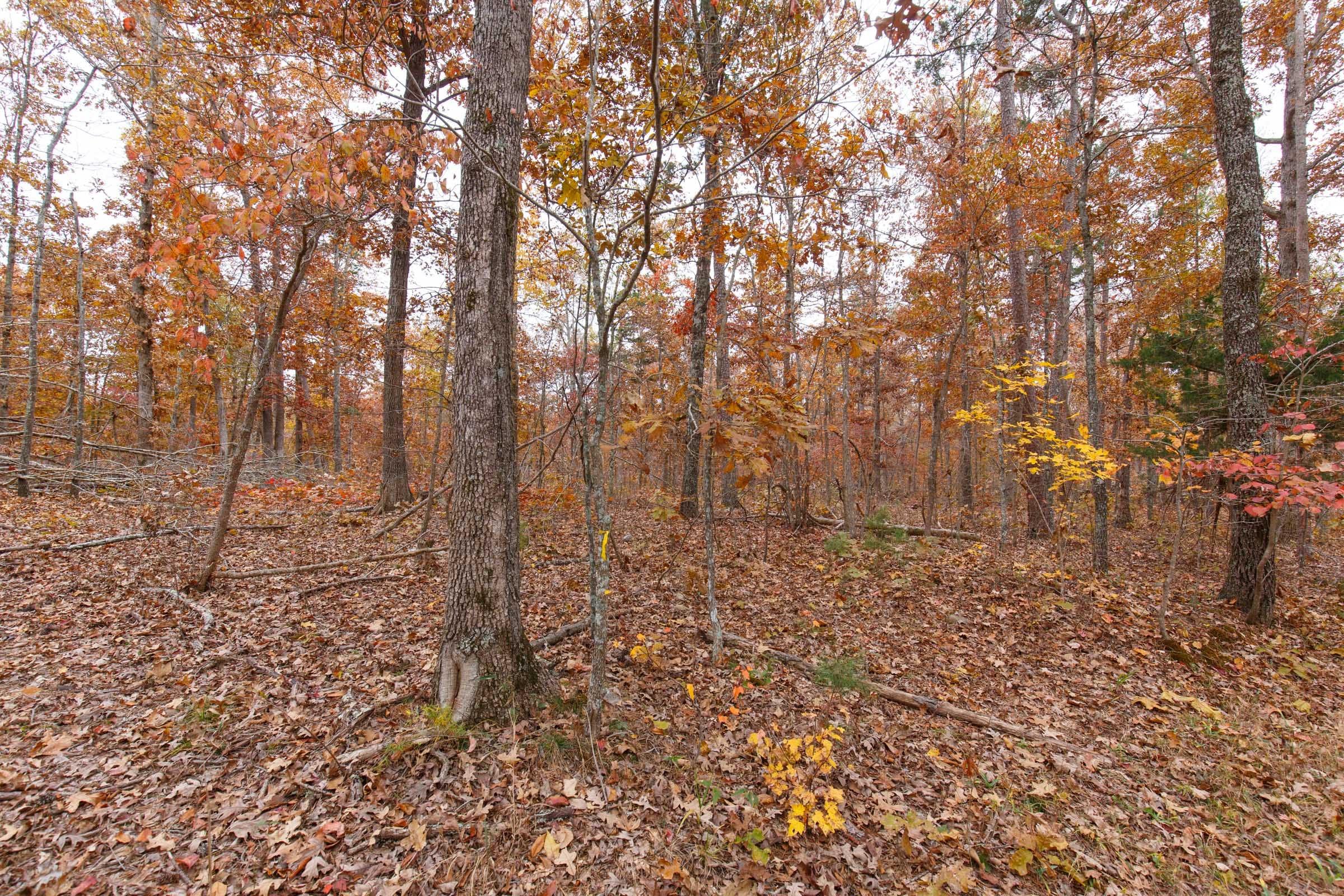 Hawkcrest Tract 18 photo 10