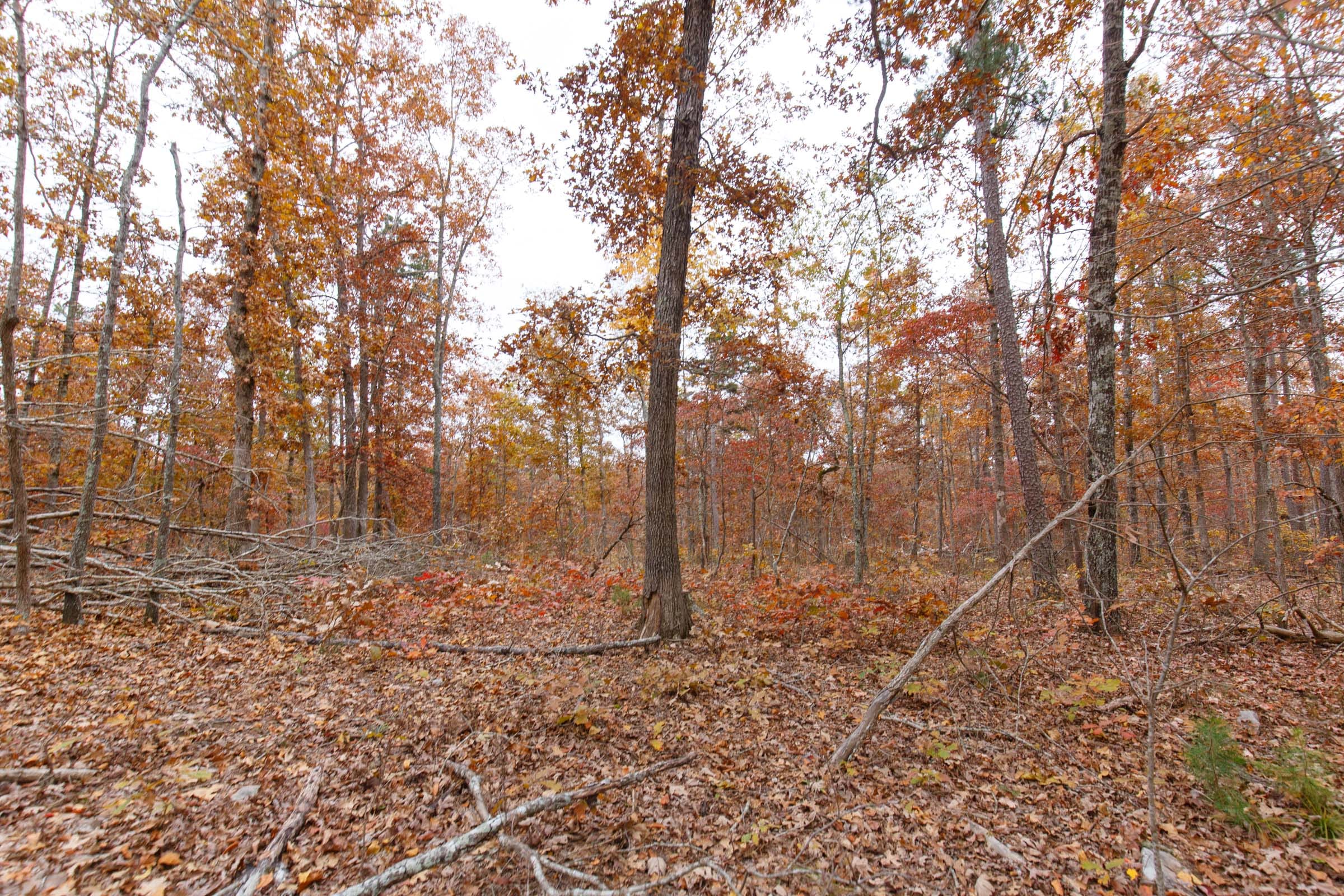 Hawkcrest Tract 18 photo 11