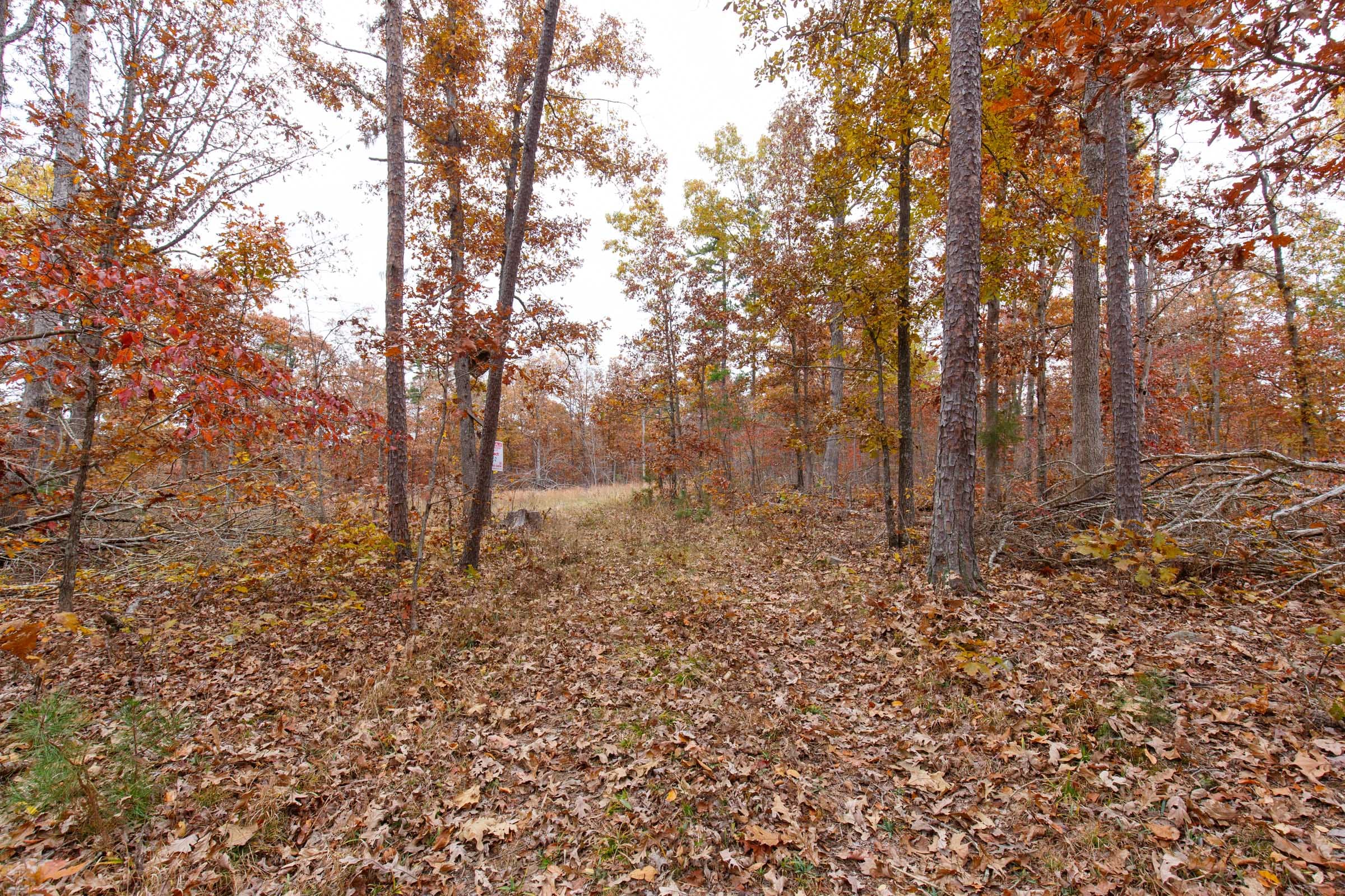 Hawkcrest Tract 18 photo 9