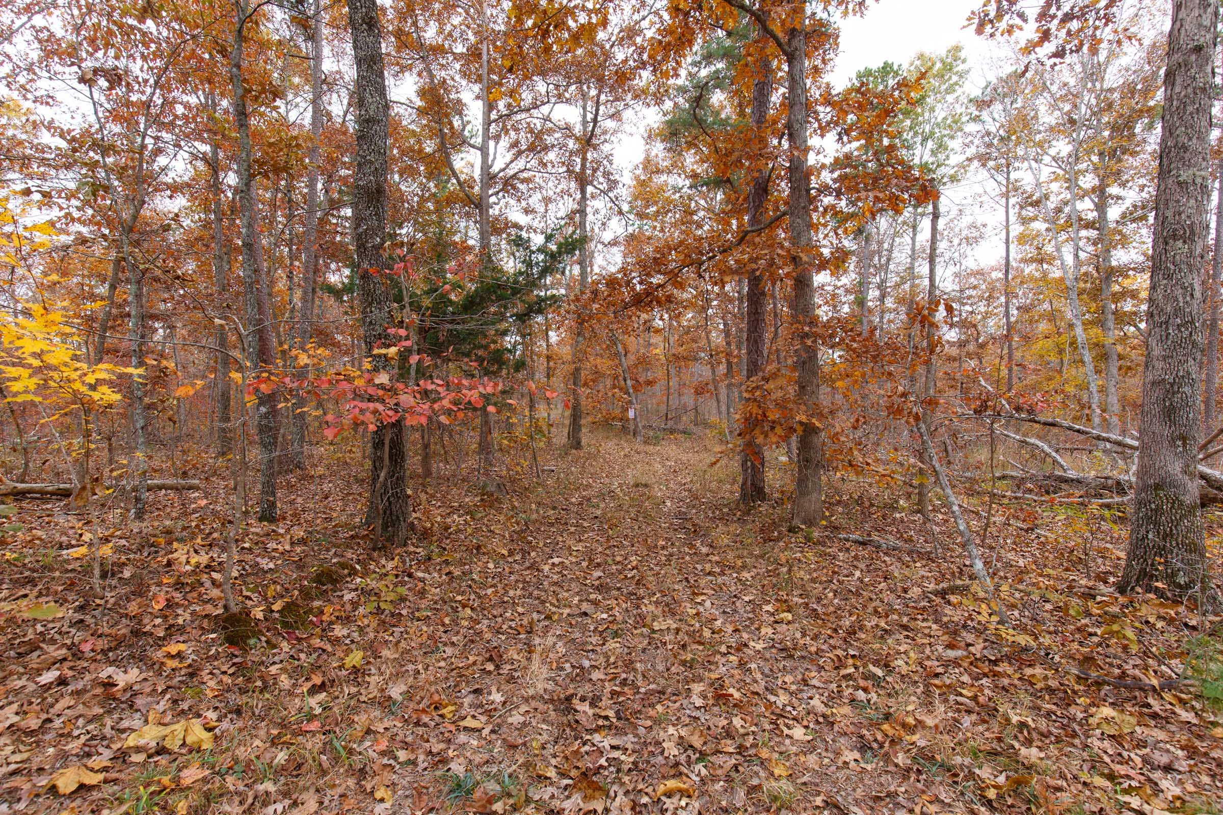 Hawkcrest Tract 18 photo 12