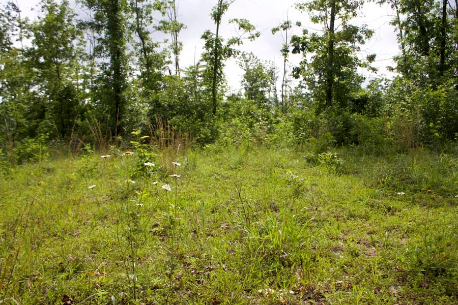 Thunder Mountain Ranch Tract 19 photo 2
