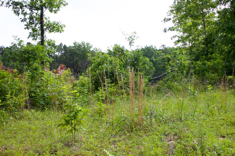 Thunder Mountain Ranch Tract 19 photo 1