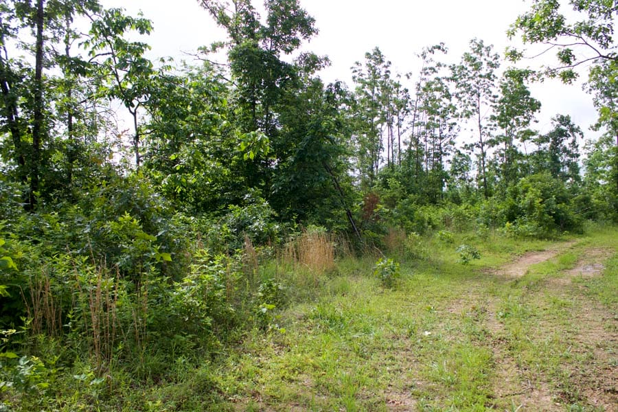 Thunder Mountain Ranch Tract 19 photo 6