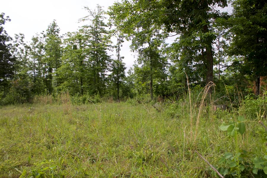 Thunder Mountain Ranch Tract 19 photo 7