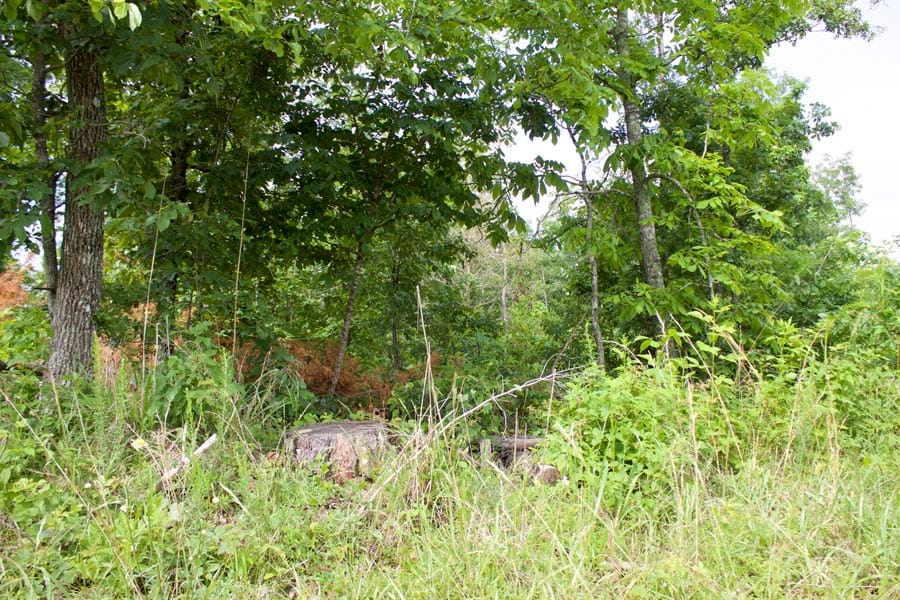 Thunder Mountain Ranch Tract 19 photo 9