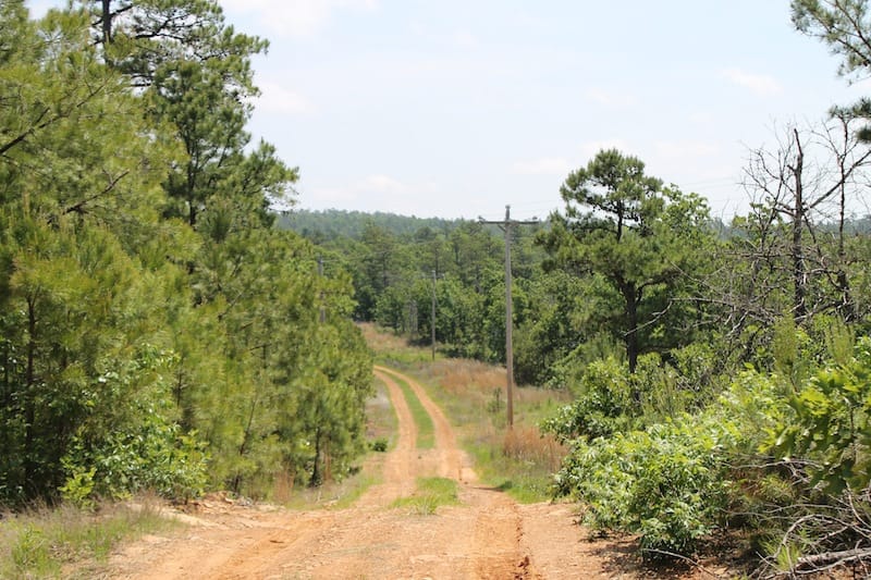 Indian Ridge – Phase II Tract 29 photo 2